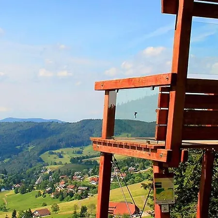 - Black4rest Siebenschlaefer Todtnauberg - Apartmán