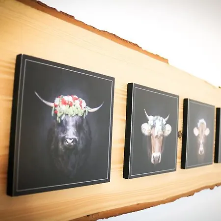 - Black4rest Siebenschlaefer Todtnauberg - *