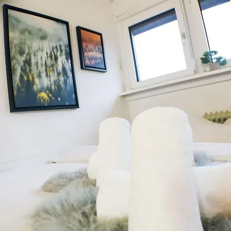 - Black4rest Siebenschlaefer Todtnauberg - *