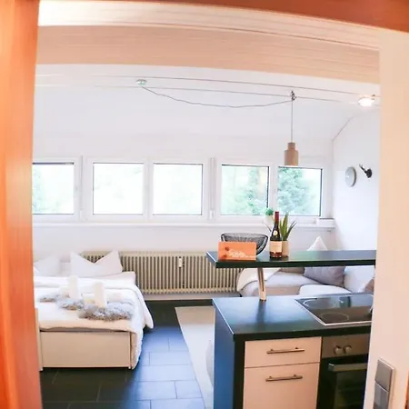 - Black4rest Siebenschlaefer Todtnauberg - Appartement