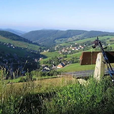 Apartmán - Black4rest Siebenschlaefer Todtnauberg - Todtnau