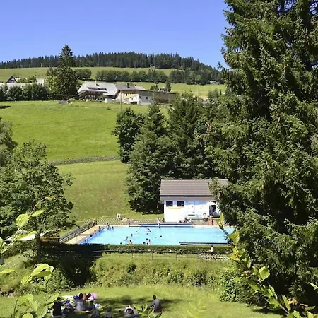 - Black4rest Siebenschlaefer Todtnauberg - Apartmán Todtnau